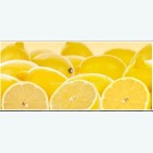лимоны 3300 руб. за 1м кв.